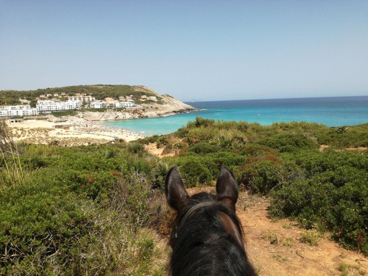 Rosamar Holidays Apartamento Cala Ratjada (Mallorca)